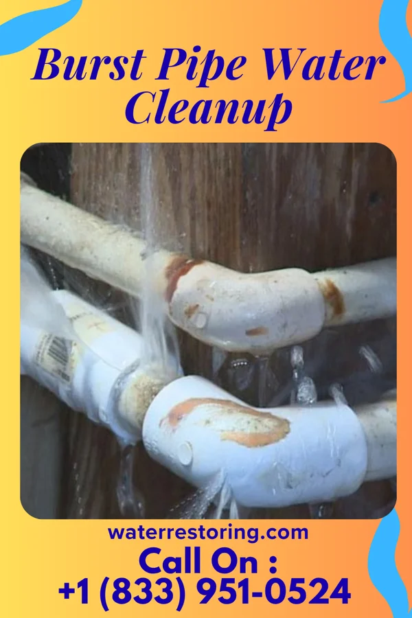 Burst Pipe Water Cleanup in Fayette, OH