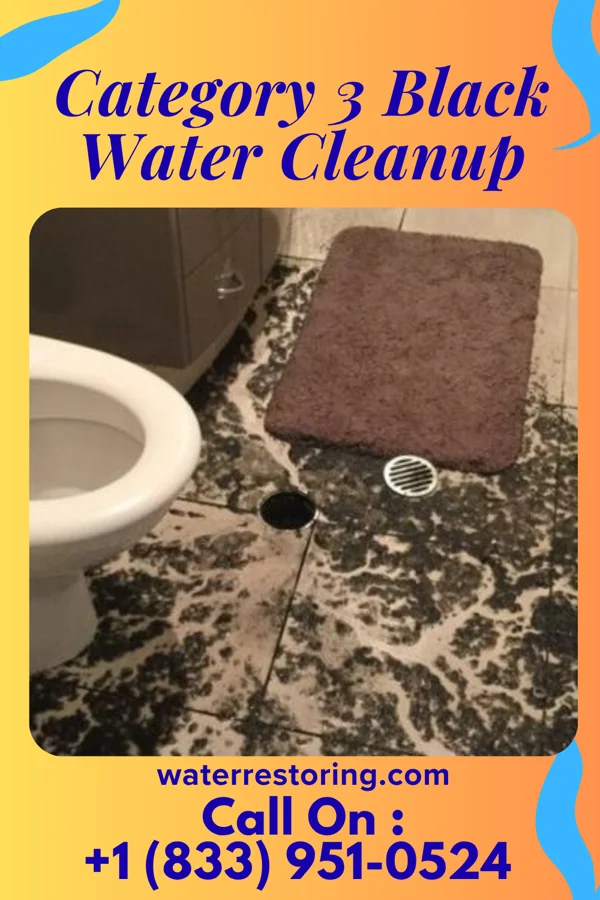 Category 3 Black Water Cleanup in Fayette, OH