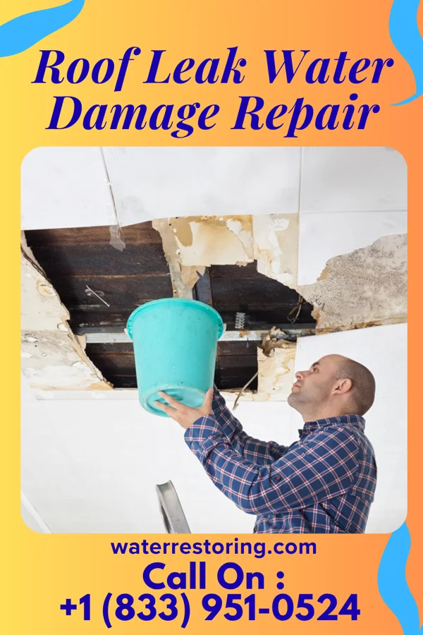 Roof Leak Water Damage Repair in Fayette, OH