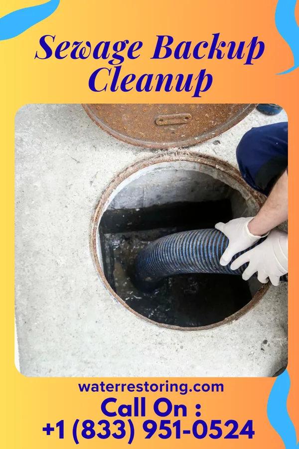 Sewage Backup Cleanup in Fayette, OH