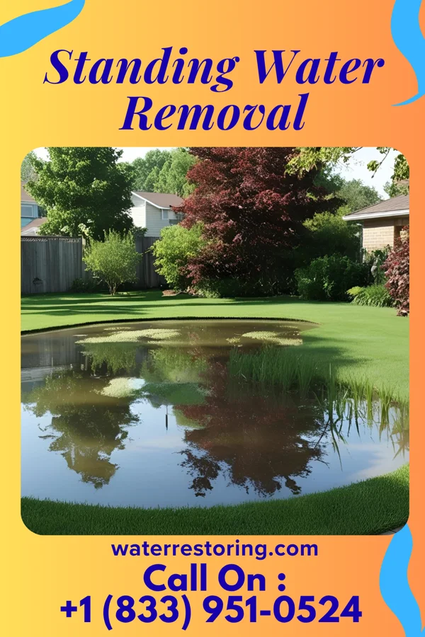 Standing Water Removal in Fayette, OH